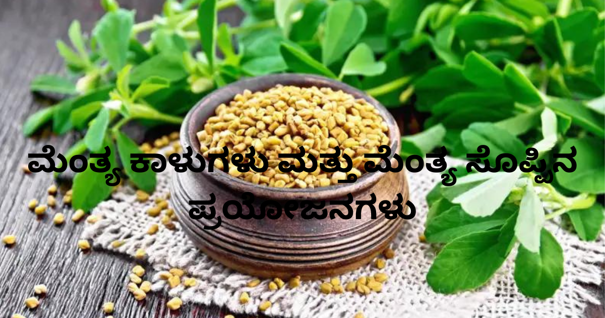 ಮೆಂತ್ಯ ಕಾಳುಗಳು ಮತ್ತು ಮೆಂತ್ಯ ಸೊಪ್ಪಿನ ಪ್ರಯೋಜನಗಳು